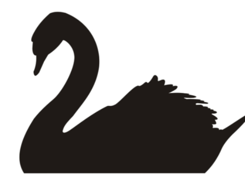 Ned Ryun: The Black Swan of 2020